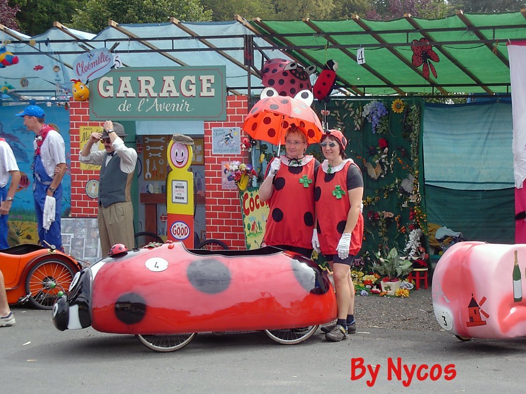 Coccinella 002.jpg